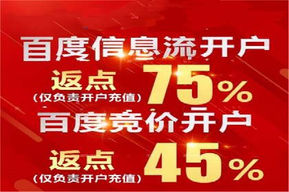 百度竞价广告成功案例：如何实现ROI最大化